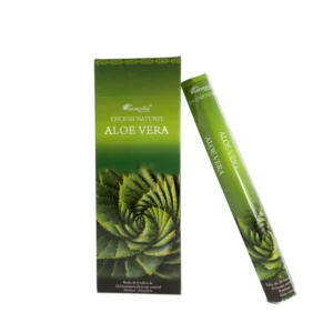 Encens Naturel Aloe Vera - Fraîcheur Végétale et Atmosphère Zen (Tube de 20 bâtonnets)