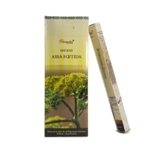 Encens Naturel Assa Fœtida (Ase Fétide) - Purification Puissante et Protection (Tube de 20 bâtonnets)