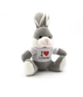 Peluche Lapin I ❤️ Lourdes