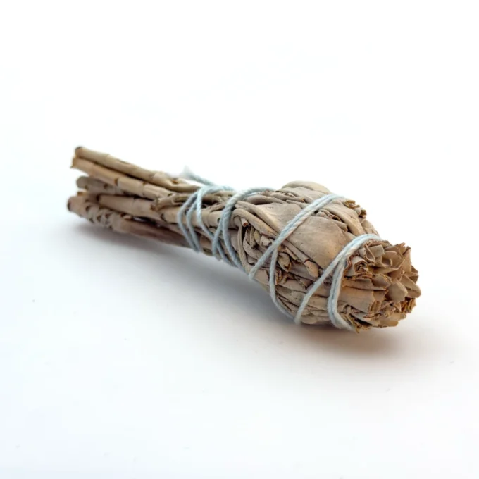 Petit fagot de Sauge Blanche